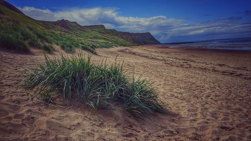 Skinningrove beach