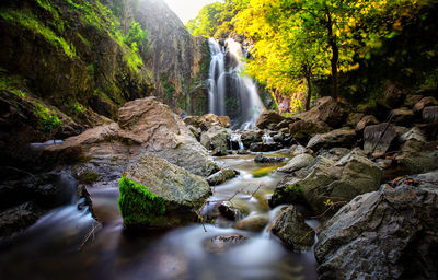 Stream flowing through rocks in forest