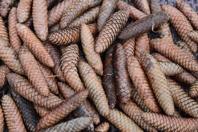 Full frame shot of ropes