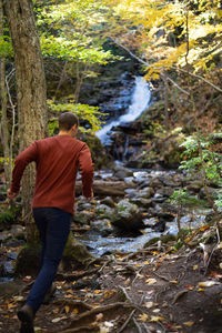Rear view of man running by waterfall in forest