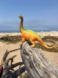 Dino go to the beach 