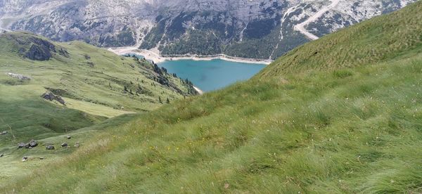 scenics - nature