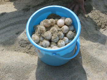 Close-up of food in bowl