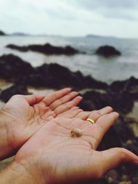 Close-up of hand holding seashell at shore