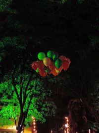 Low angle view of balloons on tree