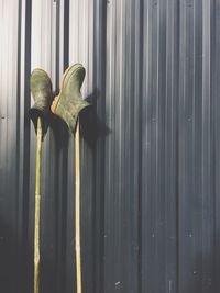 Close-up of pair of rubber boots on sticks leaning against fence