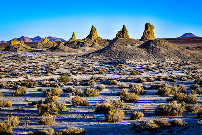 Desert plants landscape with natural rock formations of trona pinnacles