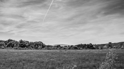 Scenic view of field against sky