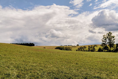Scenic view of agricultural field against sky