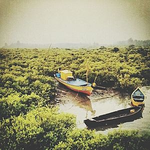 Boats in river