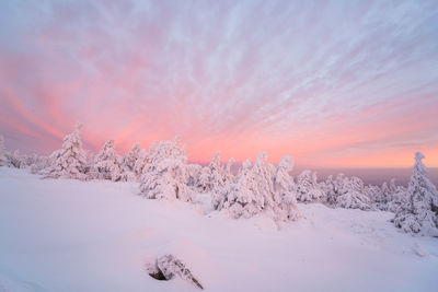 Scenic view of snow covered landscape against sky at sunset