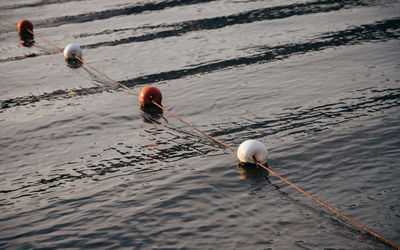 High angle view of water buoys