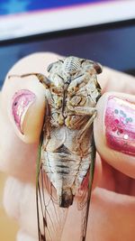 Close-up of a hand holding food