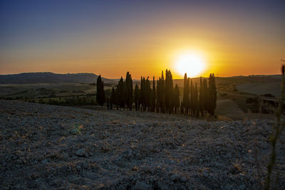 Scenic view of landscape against sky during sunset