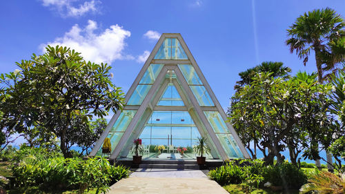 Low angle view of palm trees and plants against sky