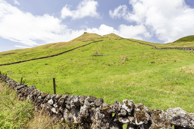 Scenic view of grassy field against sky