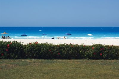 Scenic view of sea against clear sky