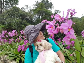 View of dog with pink flowers