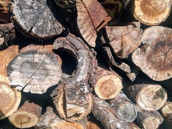 Full frame shot of logs in forest