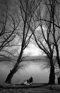 Bare trees against sky