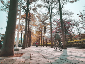 Rear view of man riding bicycle on footpath