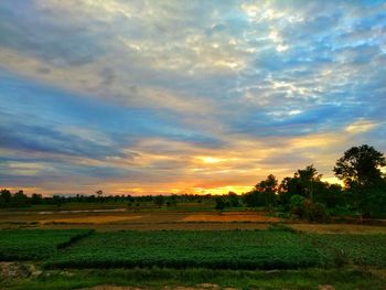 Scenic view of field against cloudy sky