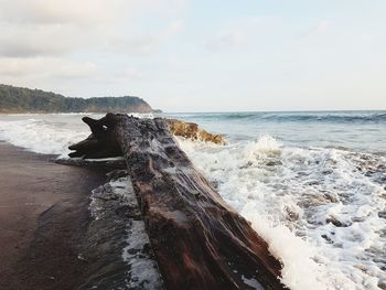 Waves splashing on driftwood at beach against sky