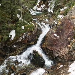 Stream flowing through rocks in forest