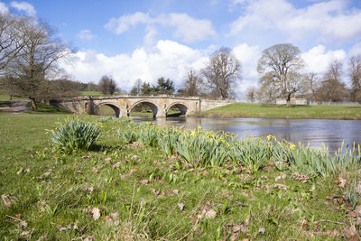 View of bridge in park