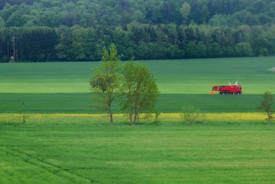 Scenic view of agricultural field