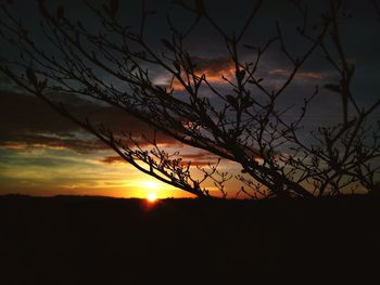 Silhouette tree against sky during sunset