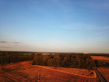 Aerial view of agricultural field against sky