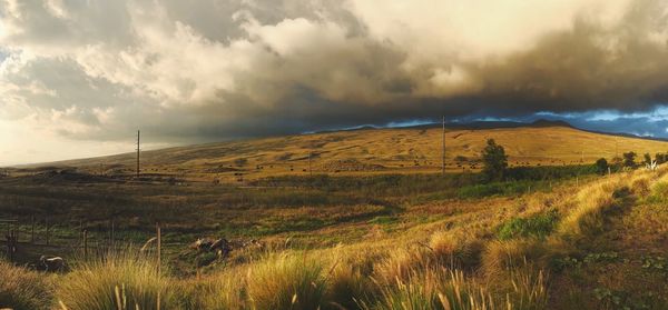 Scenic view of field against sky during sunset