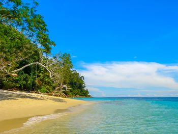 Scenic view of sea against blue sky