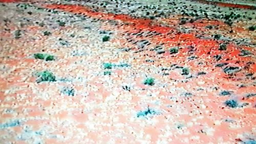 Full frame shot of multi colored candies on carpet