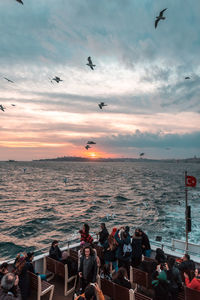 View of birds flying over sea at sunset