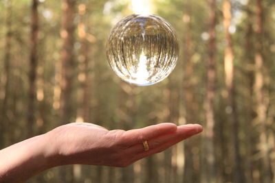 Cropped hand catching crystal ball against trees