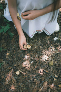 Low section of woman holding mushroom on field