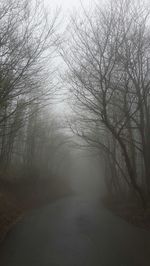 Empty road in foggy weather