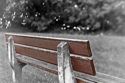 Close-up of snow on water