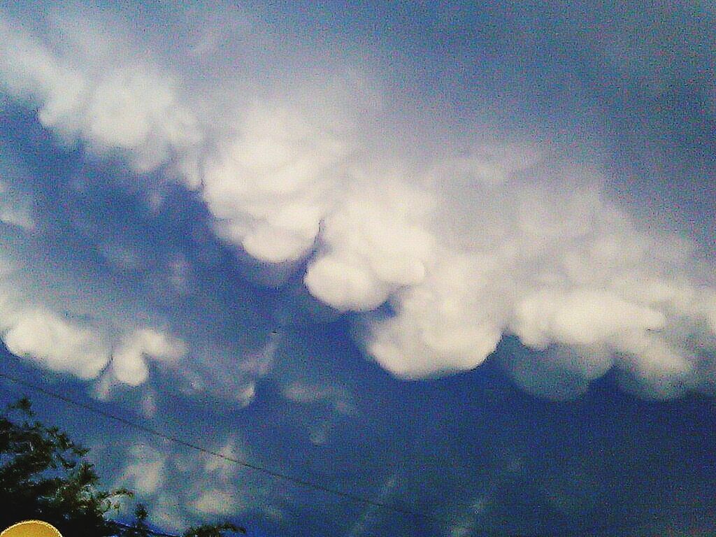 low angle view, sky, cloud - sky, beauty in nature, tranquility, scenics, cloudy, nature, tranquil scene, blue, cloud, tree, silhouette, outdoors, idyllic, cloudscape, no people, weather, high section, day