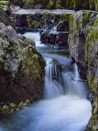 Scenic view of waterfall in forest