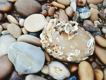 Close-up of pebbles on beach