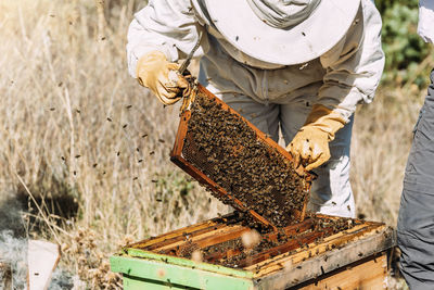 Beekeeper holding beehive at farm