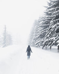 Rear view of man walking on snow covered land