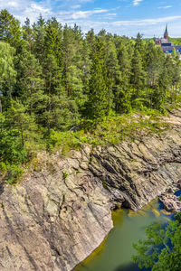 View of trees by river