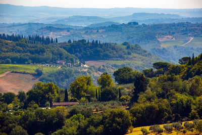 High angle view of trees on landscape