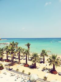 High angle view of palm trees on beach