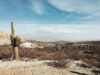 Scenic view of landscape against cloudy sky