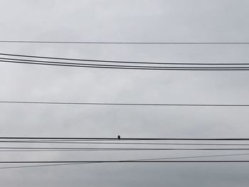Low angle view of birds perching on power cable